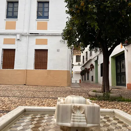 Casa Conchi Apartment Cordoba Exterior photo