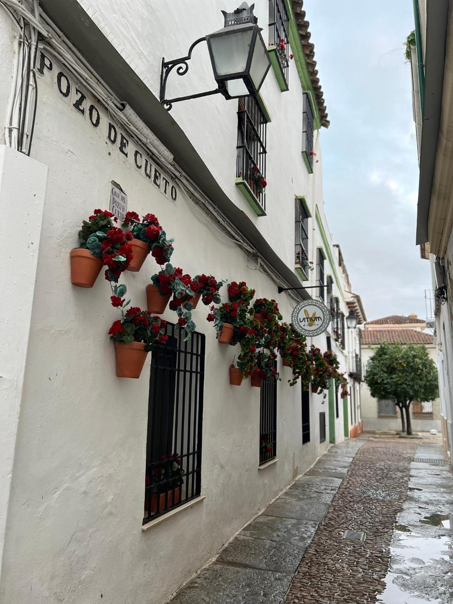 Casa Conchi Cordoue